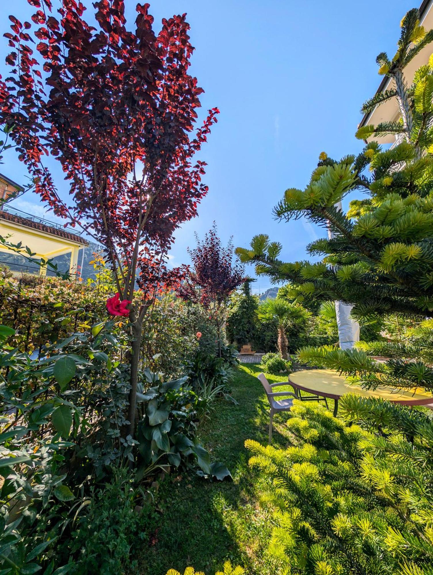 Villa With Garden And Veranda Berat Eksteriør billede